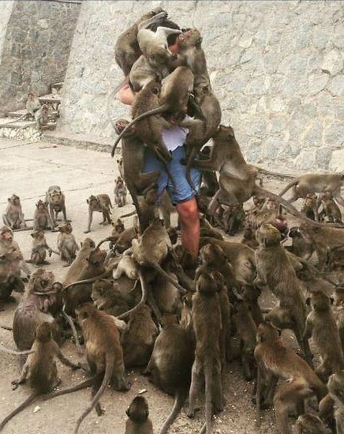 Ngelakuin Hal Bodoh Tanpa Pikir Panjang